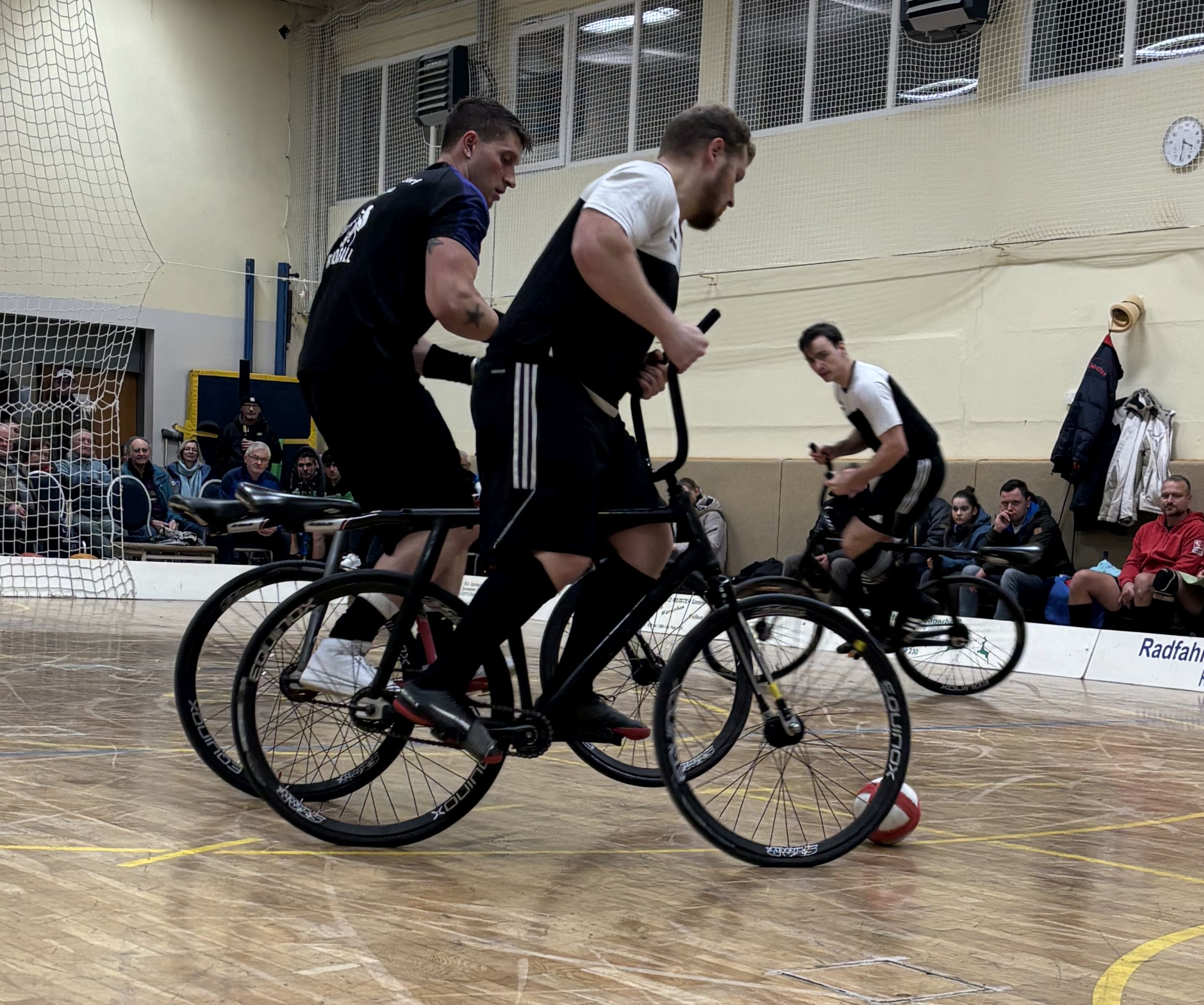 Bild Patrick und Sullivan